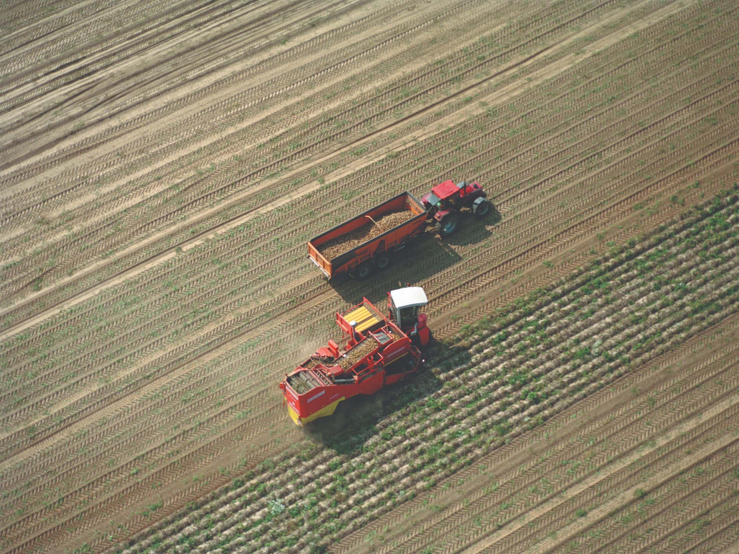SOCIETE_Paragraphe2_veld_tractors