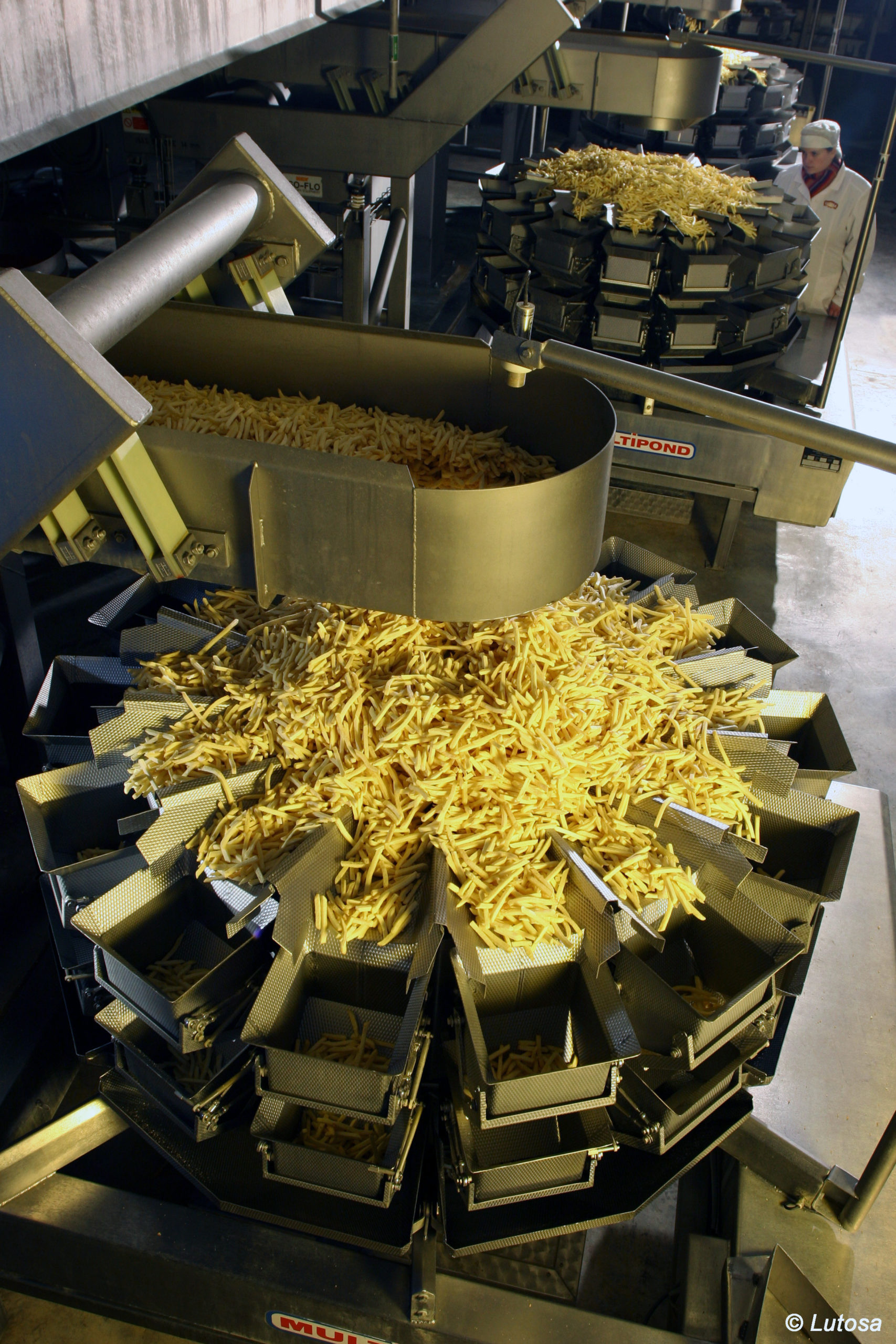 Lutosa, production de frites